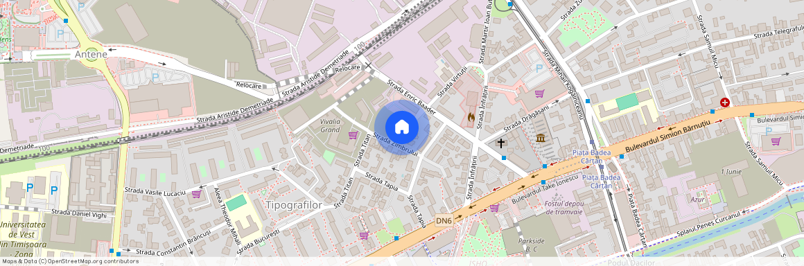 Timis, Timisoara