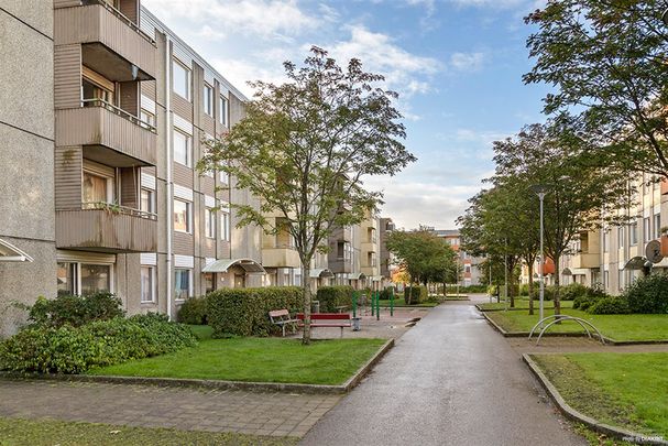 Senapsgatan 5 - Foto 1