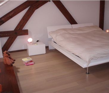 Charming 3-room duplex with direct access by elevator - Photo 2