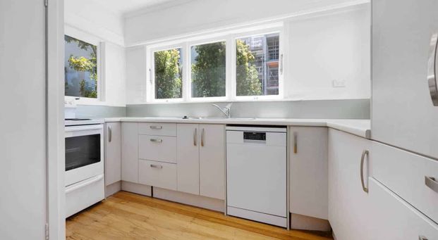 Location & Size - Photo 1