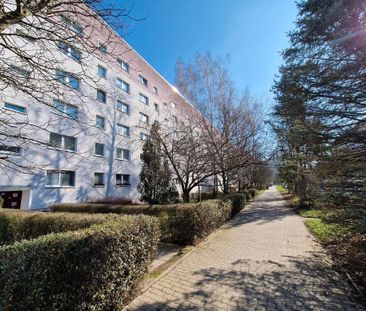 **FRISCH RENOVIERT**hübsche Singlewohnung mit Einbauküche // ab 01.... - Foto 1