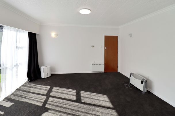 Beachside Living in Lyall Bay - Photo 1