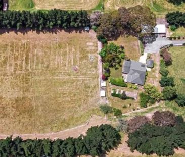 Lifestyle Property - Photo 5