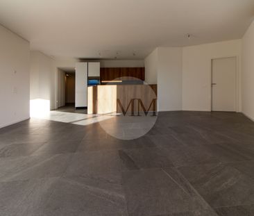 LUMINOSO 4.5 LOCALI CON GRANDE TERRAZZA E VISTA APERTA - Foto 5