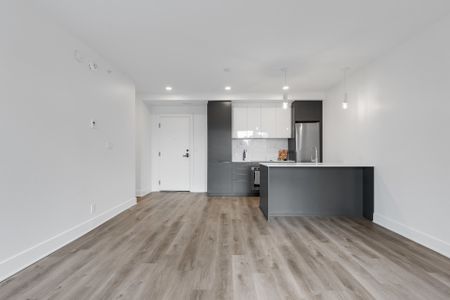 Condo for rent, Montréal (Ville-Marie) - Photo 3