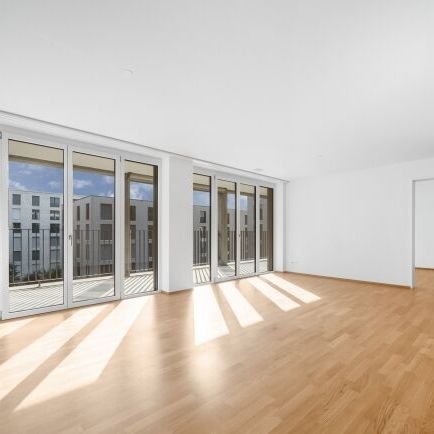 IM GUSS - Vivre avec un sentiment de vivre - Foto 1