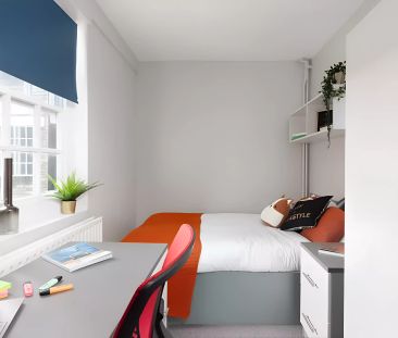 Standard Plus - Photo 5