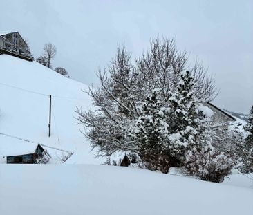 2 Zimmer, 50 m², EG - Foto 5