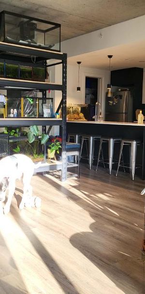 GRAND LOFT 3 1/2 - Photo 1