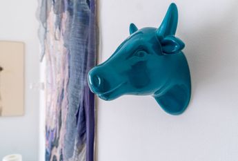 Appartamento in affitto - Centro Storico (Genova)