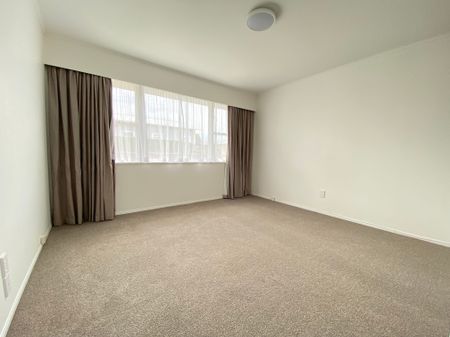 Newly Renovated unit on Rawhiti Road - Photo 3