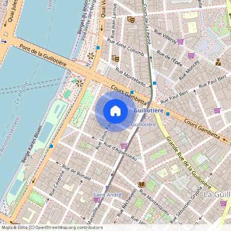 9 RUE PASTEUR, LYON 7EME ARRONDISSEMENT Pasteur