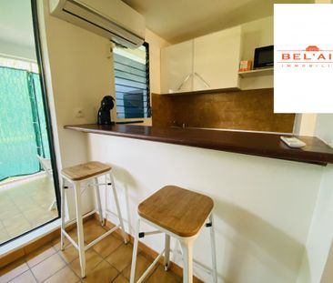 Location Appartement 1 pièce 24m² SCHOELCHER 97233 - Photo 3
