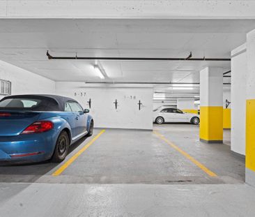 For Lease - 235 Kent Street Unit# 207, Ottawa Centre, Ontario - Photo 3