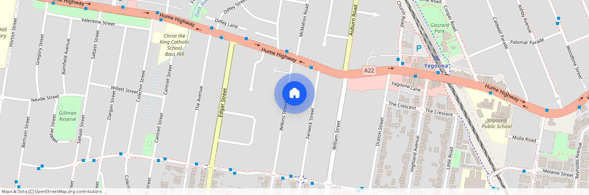 9 Wilkins Street, Yagoona