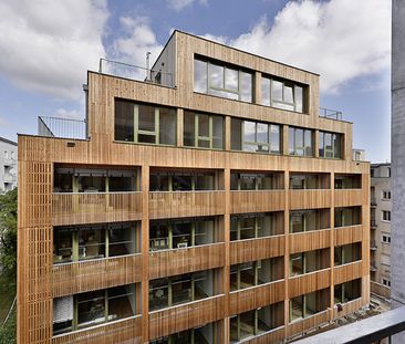 Neubau in Massivholzbauweise - Foto 4