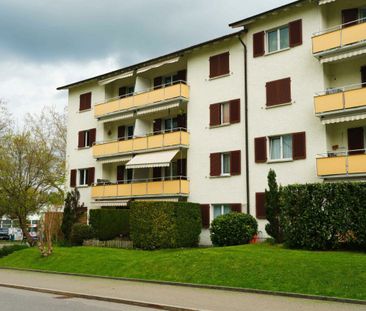 3.5 Zimmer, EG - Photo 4