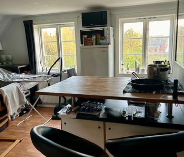 Sperlingsholm Residenset, Åled - Photo 3