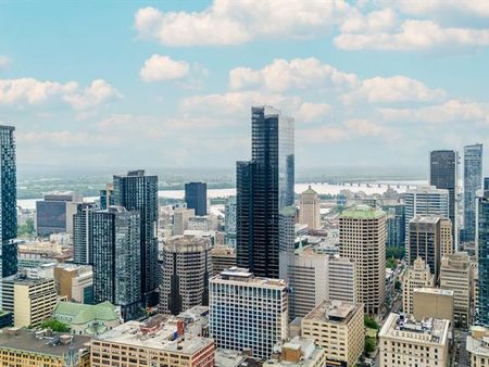 1205 Place Phillips - Photo 2