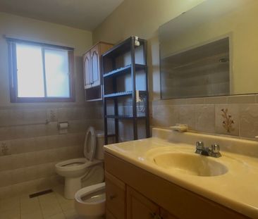 For Lease - 639 Royal York Road, Toronto, Ontario - Photo 4