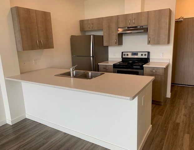 1 Bedroom West Facing 2nd Floor Suite in Midtown Abbotsford - Photo 1