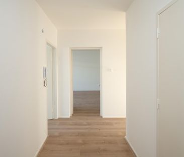 Escamplaan 704 - Photo 4