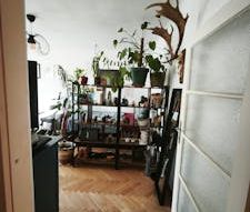 Apartment for rent for €850 in Vienna - Photo 1