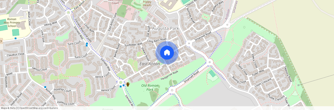 Augusta Way East, Andover, SP11