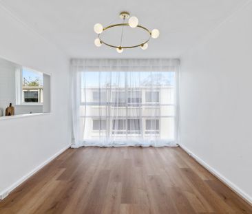 11/3 Celeste Court, St Kilda East. - Photo 4