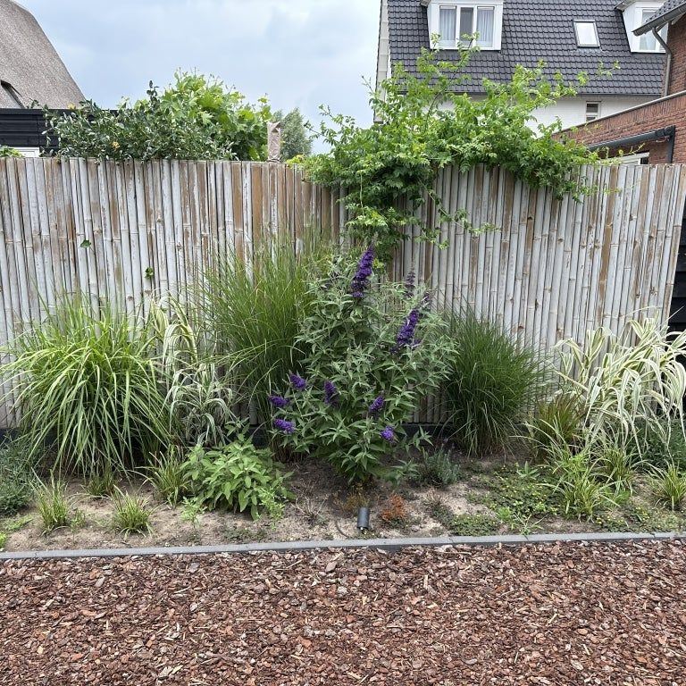 Te huur: Huis Valse IJsboutpad in Hoef en Haag - Foto 1