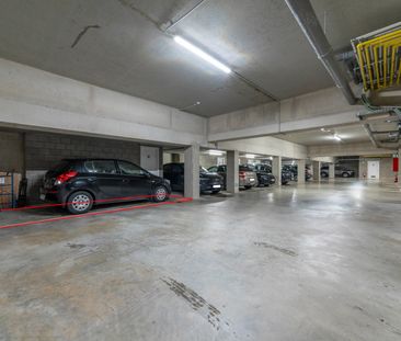 Schelle - Appartement - Foto 6