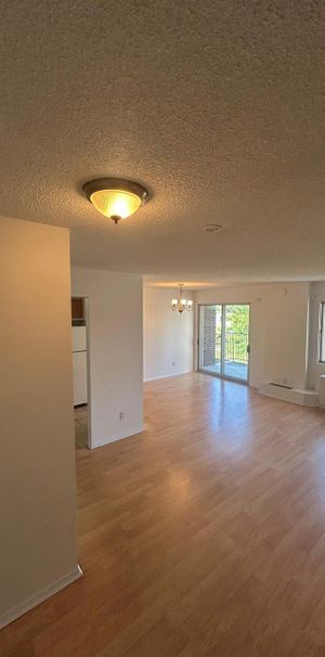 1 CH - 1 SDB - Côte Saint-Luc - $1,645 /mo - Photo 1
