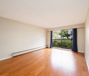 Lower Lonsdale Spacious 1bed/1bath with balcony - Photo 3