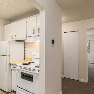 Pet Friendly 2 Bedroom Suite available March 1st - Photo 4