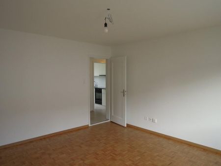 Frisch sanierte Wohnung, ruhig und doch zentral gelegen - Photo 2