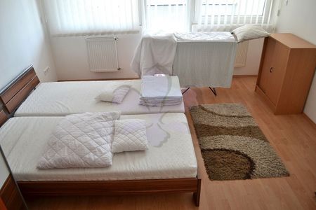 2 rooms flat rent in the centre - Fotó 4