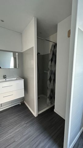 Location Appartement 1 pièce 20m² - Photo 5