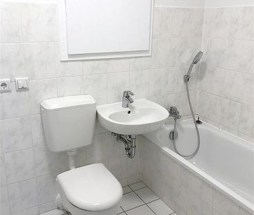 +++AB IN IHR NEUES REICH+++ - Foto 1