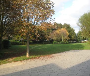 Huis te huur - Photo 6