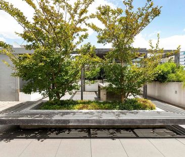 Welcome to Mont Vue - 2 Bedroom Apartment - Photo 1