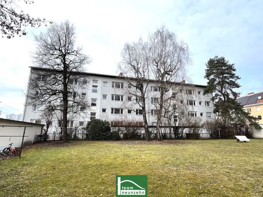 Helle 2-Zimmer-Wohnung in unmittelbarer Stadtnähe mit einem hellen Wohnambiente _ sofort beziehbar - Photo 1