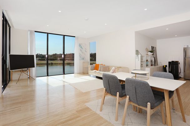 203C/1 The Concourse, Benowa QLD 4217 - Apartment For Rent | Domain - Photo 1