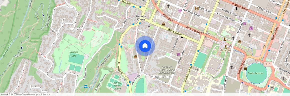 46C Thompson Street, Mount Cook, Wellington City