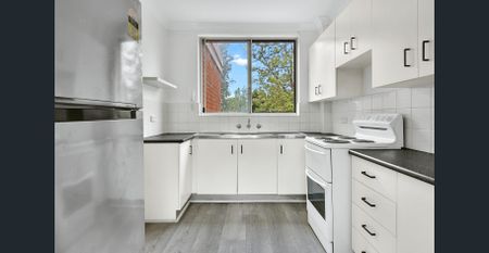 Peaceful & Full of Brightness - Photo 3