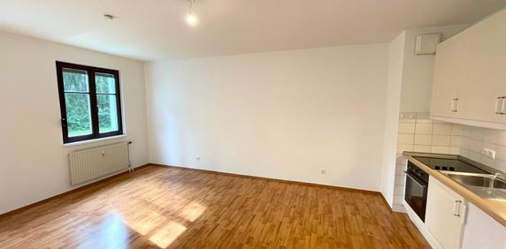 Garconniere in Uni Nähe - Provisionsfrei! - Foto 2