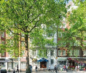 4 bedroom apartment to rent - Photo 1