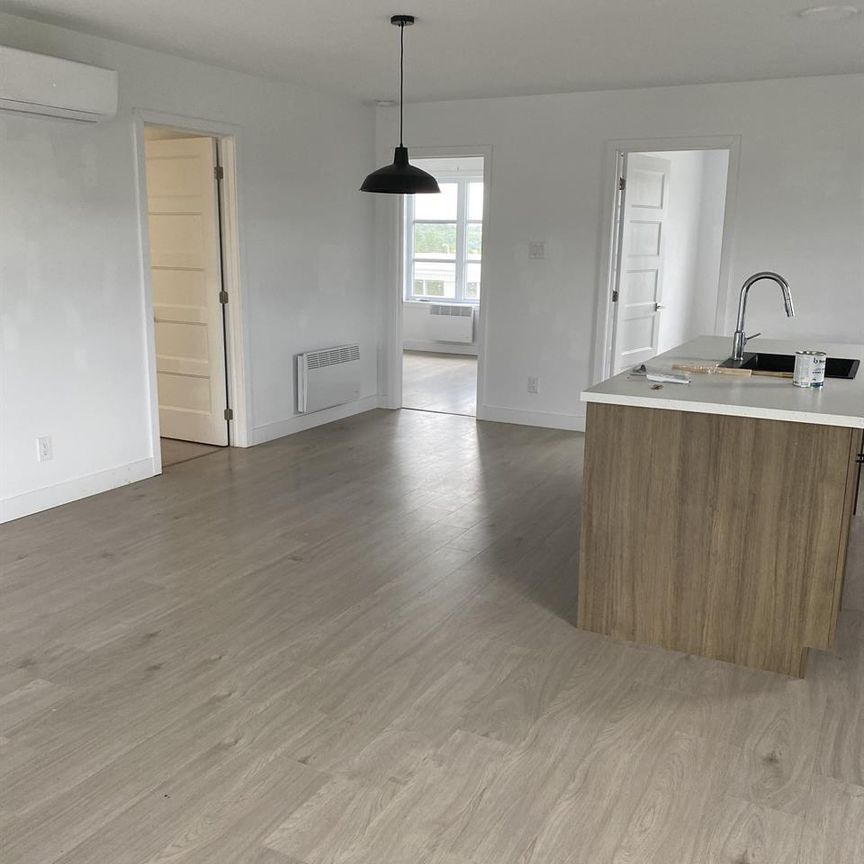 Immeuble - 176 Chemin Salois 4 ½ Moderne - Photo 1