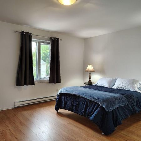 Ile Perrot, large 2 bedroom for rent - Photo 4