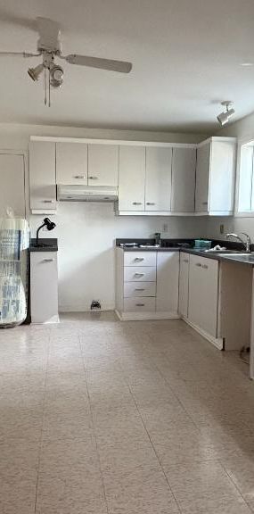 Logement à louer - 4 1/2 - Sainte-Anne-des-Plaines - Photo 1