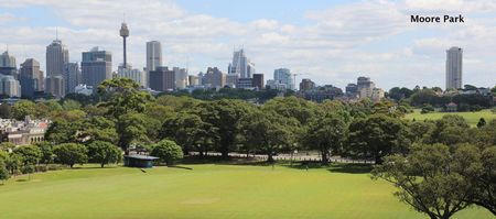 21/58A Flinders Street, Darlinghurst NSW 2010 - Studio For Rent | Domain - Photo 5